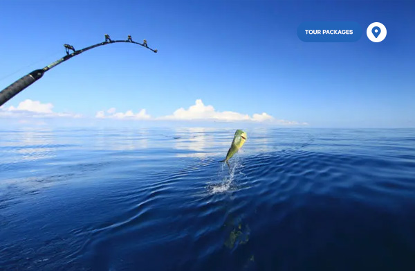 Fishing-Trip Fishing-Trip