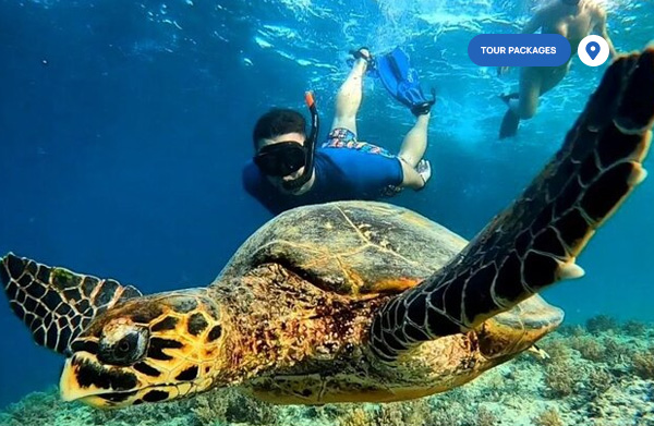 Snorkeling-Tour Snorkeling-Tour